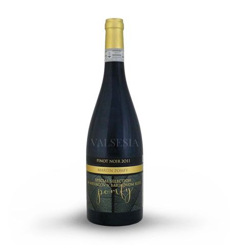 Pinot Noir barrique 2011, Special Selection, akostné víno, suché, 0,75 l